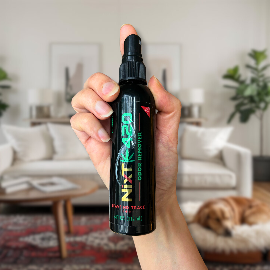 A 4oz bottle of NixT 420 Permanent Odor Remover being sprayed in a living room with pets.